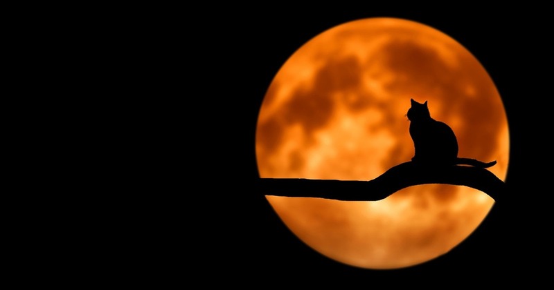 Planets in Astrology: Meaning, Symbolism, and How They Shape Human Experience